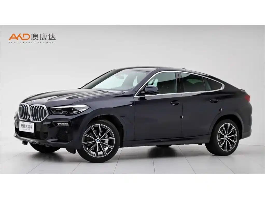 BMW X6 2021 xDrive30i M Sport Package