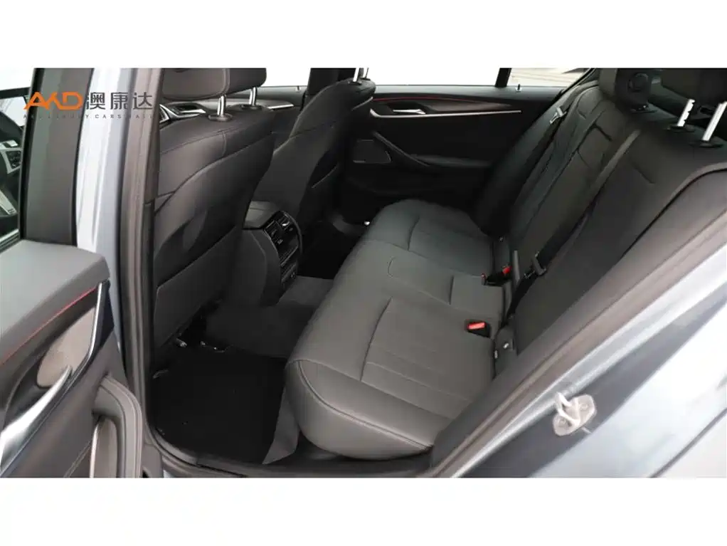 BMW 5 Series (Import) 2021 530i M Sport Package фото 7