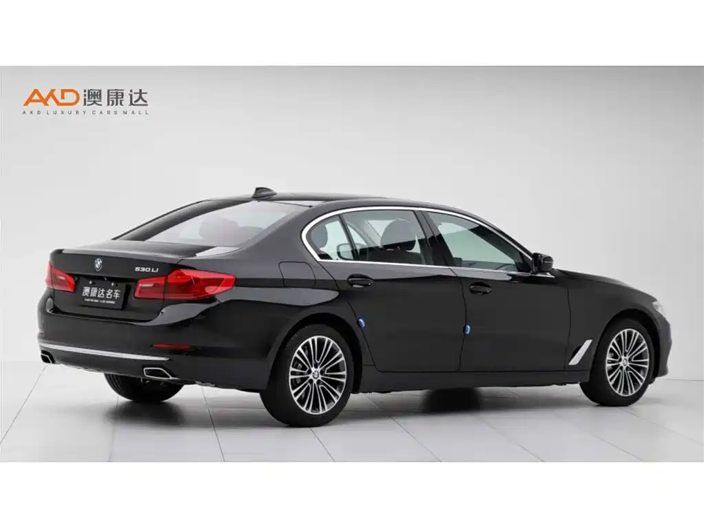 BMW 5 Series 2019 Facelift 530Li Premium Luxury Package фото 3