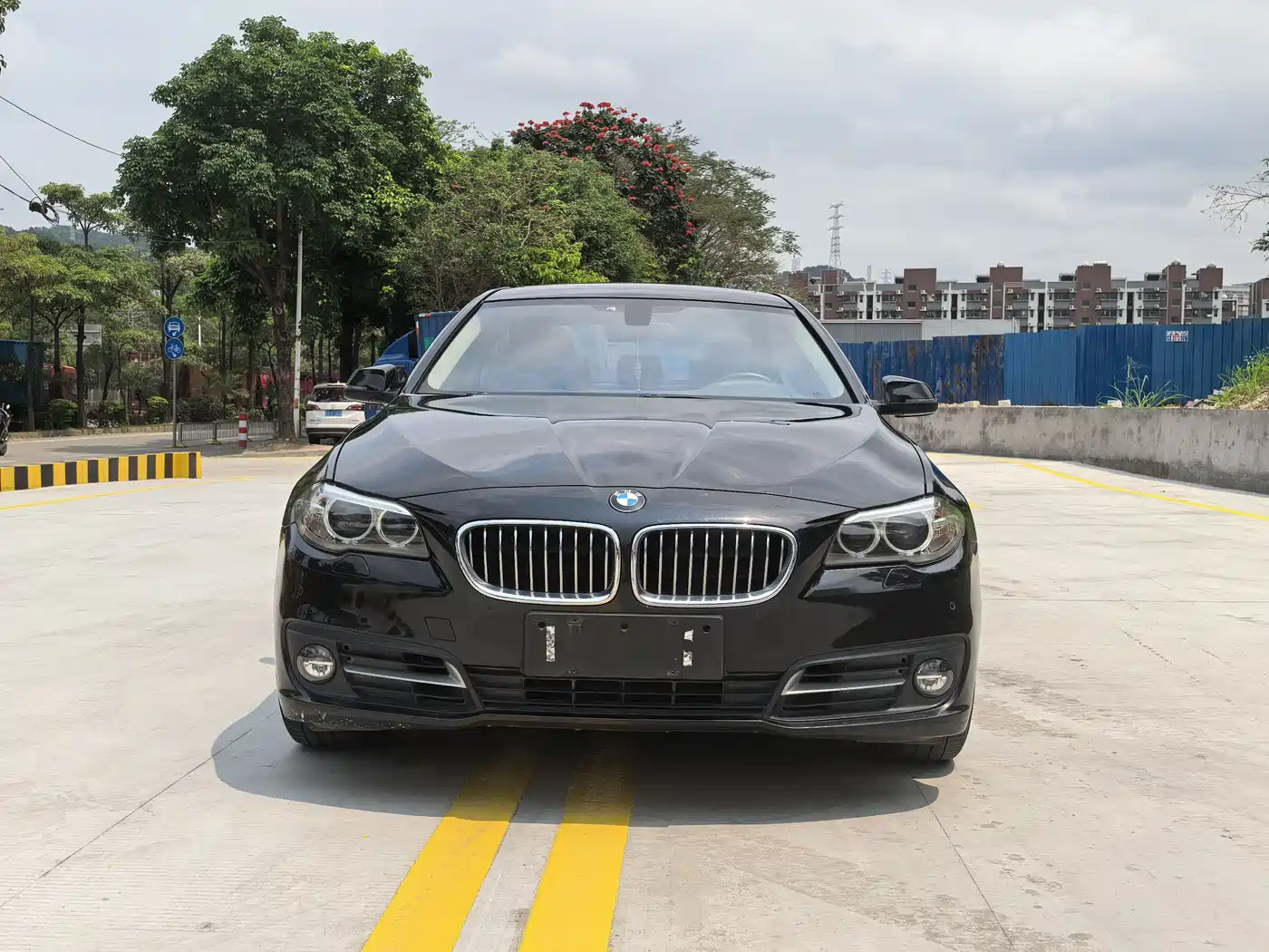 BMW 5 Series 2014 530Li Leading фото 2