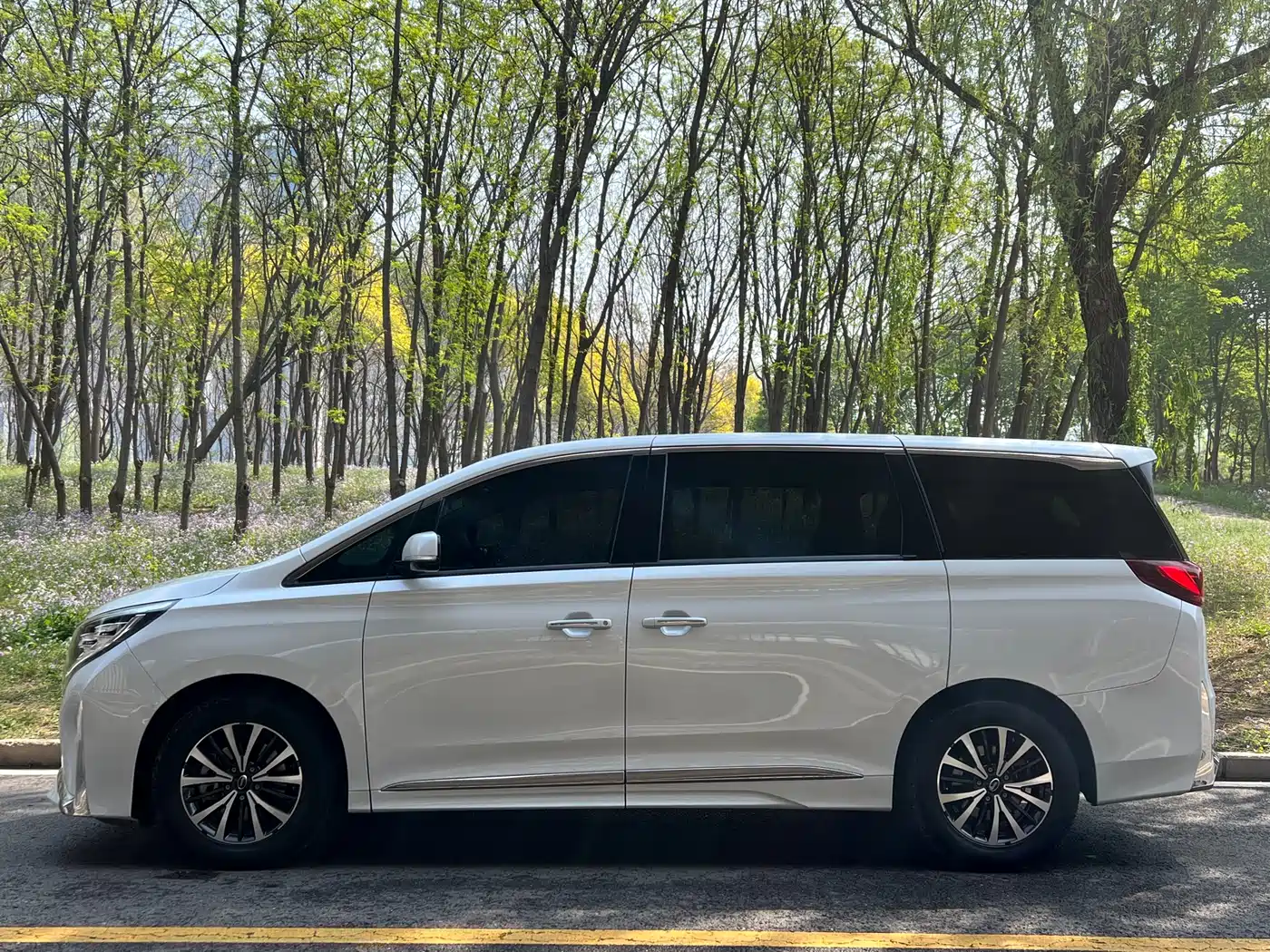 GAC Trumpchi Trumpchi M8 2021 Leading Show Series 390T Premium Edition фото 10