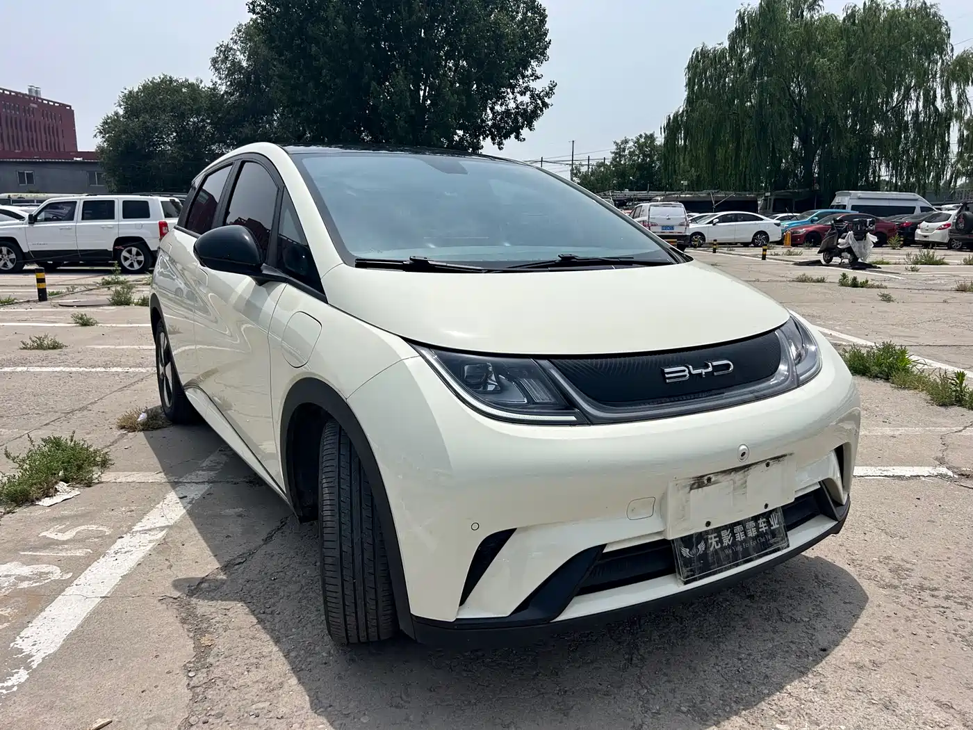 BYD Dolphin 2023 420km Fashion Edition фото 3