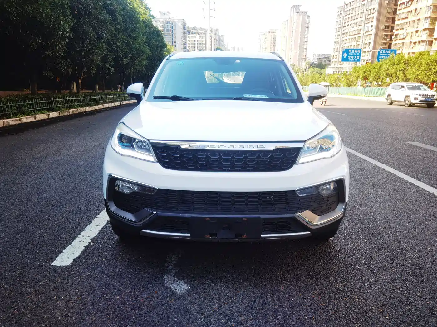 2019 Leopaard CS9