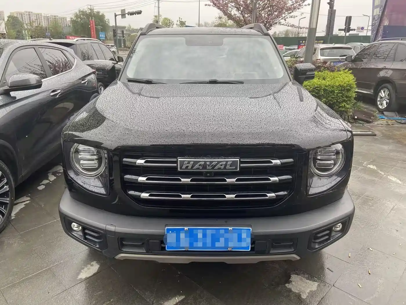 HAVAL BIG DOG