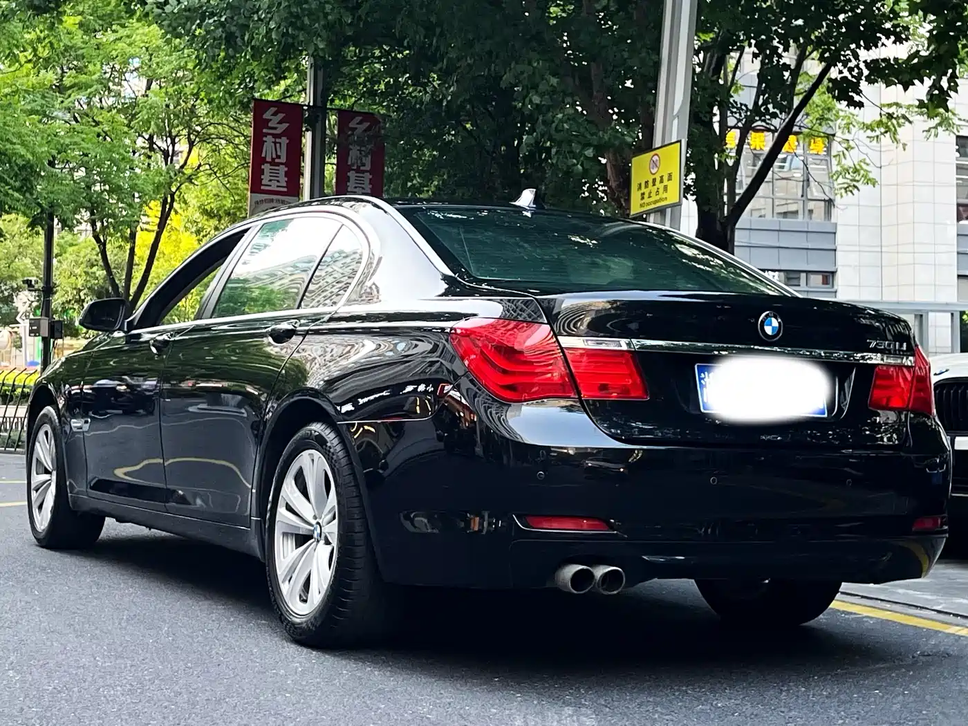 BMW 7 Series 2009 730Li Leading фото 4