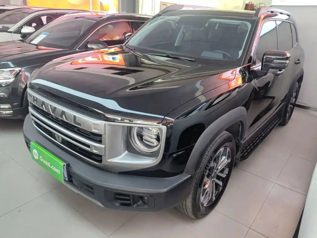Haval Haval Big Dog 2024 Model 1.5T DCT Labrador Edition