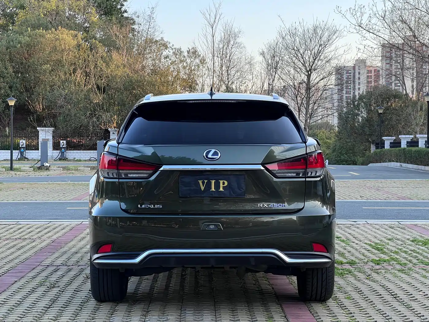 Фото 5 - Lexus RX