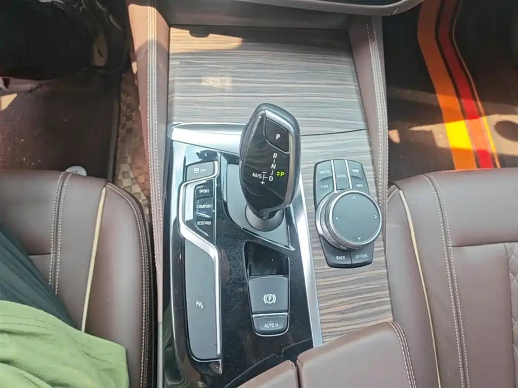 BMW 5 Series 2018 Facelift 530Li Leading Luxury Package фото 14