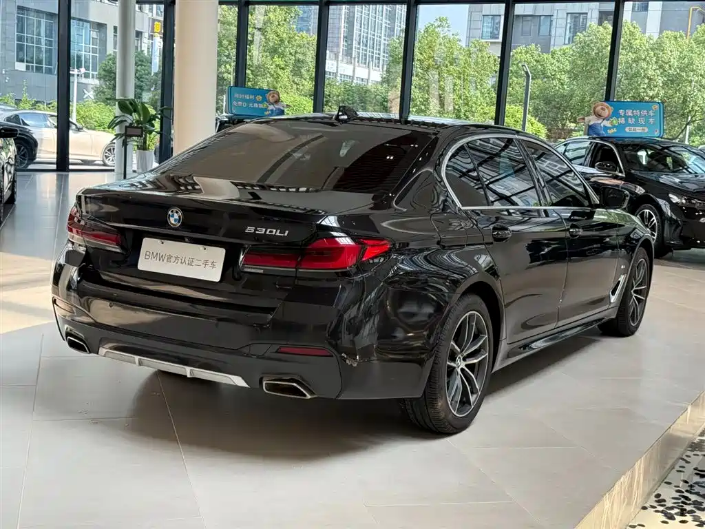 BMW 5 Series, миниатюра 9