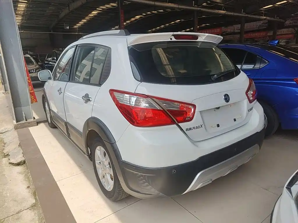 2014 Venucia R50X