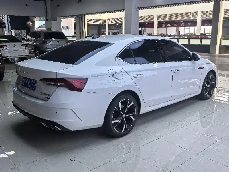 Škoda Octavia 2022 PRO TSI280 Luxury Edition фото 16