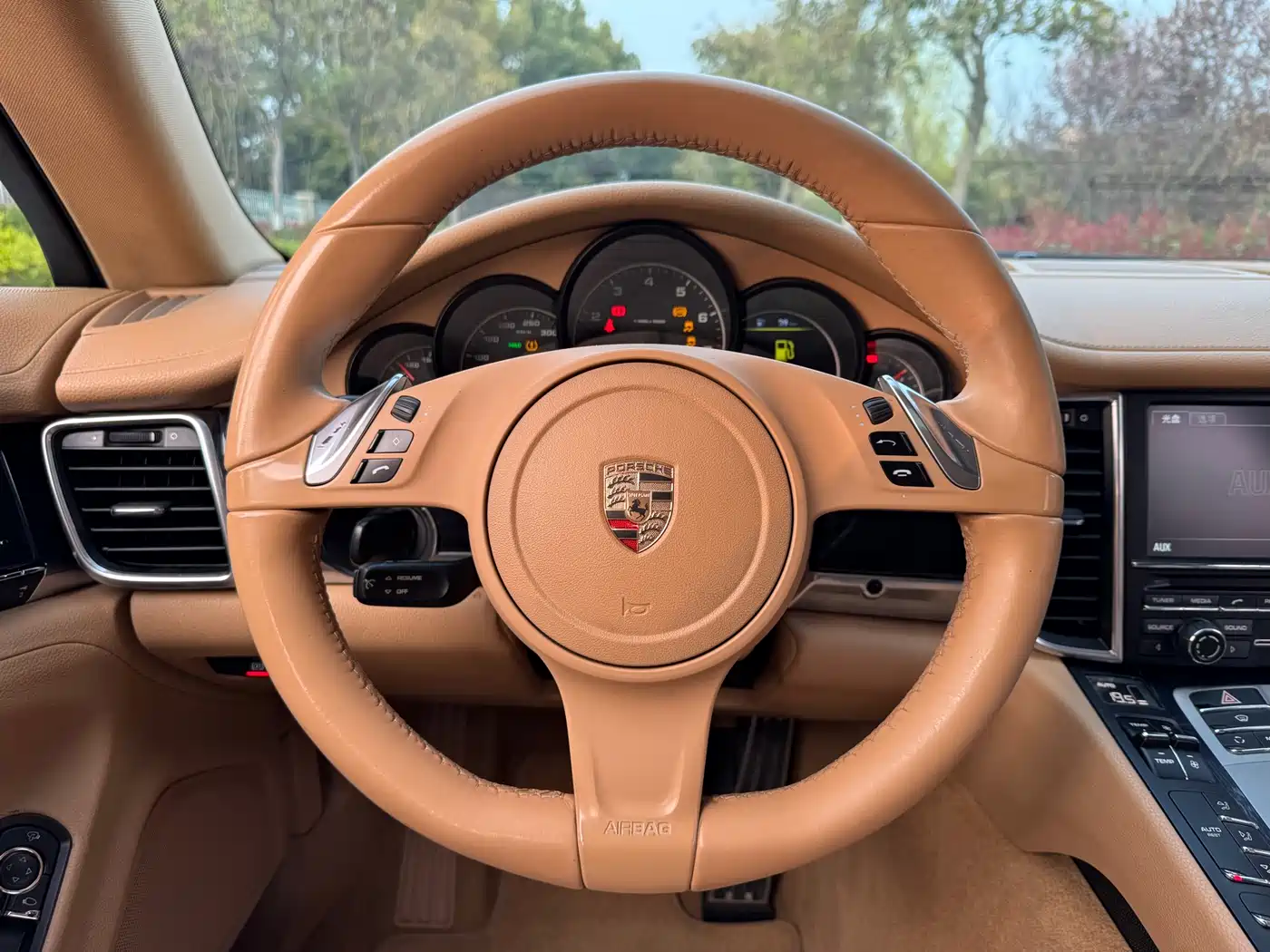 Porsche Panamera 2010 Panamera 3.6L фото 9