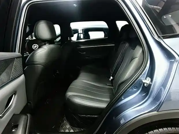BYD Song Pro New Energy 2025 2nd Generation Smart Drive Edition DM-i 75KM Leading Type фото 16