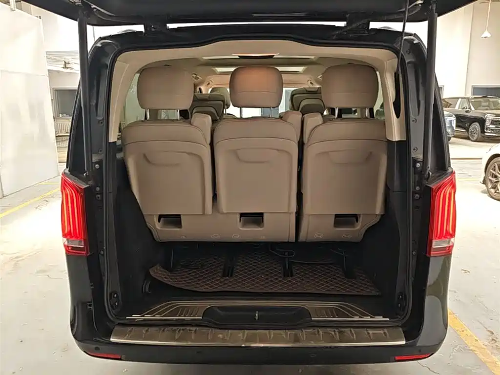 Mercedes-Benz V-Class 2018 V 260 Premium Edition China V фото 19