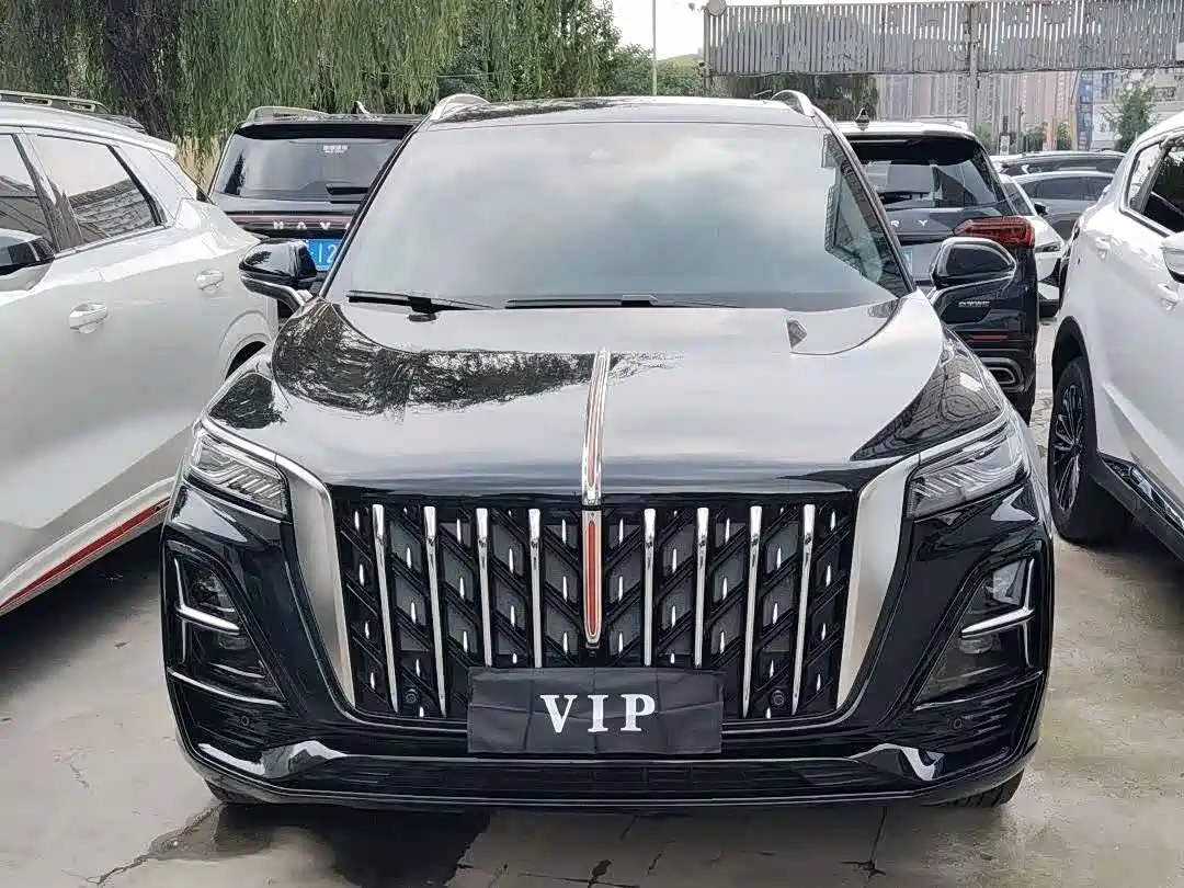  Hongqi Hongqi HS5 2023 2.0T Flag Joy Pro Edition
