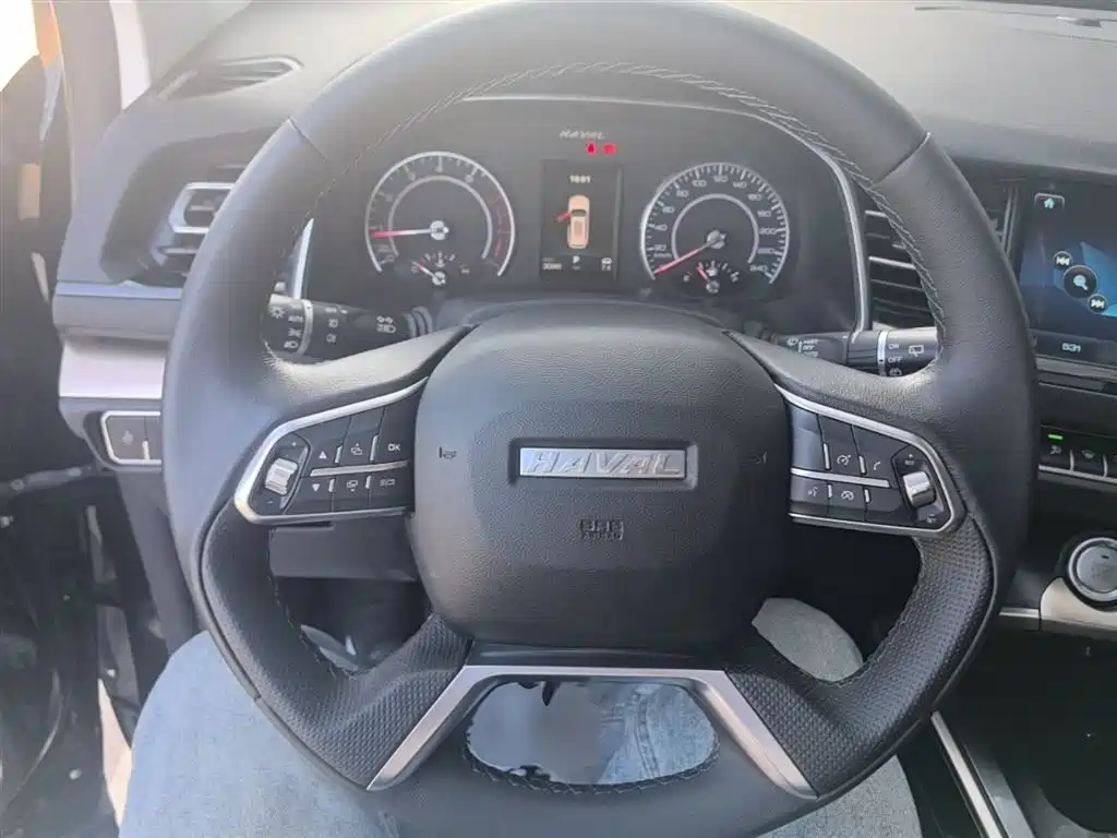 Haval H6 2019 Red Label 1.5GDIT Automatic Champion Version фото 11