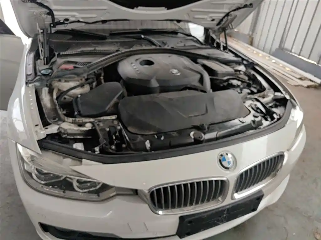 BMW 3 Series 2019 320Li Fashion Type фото 20