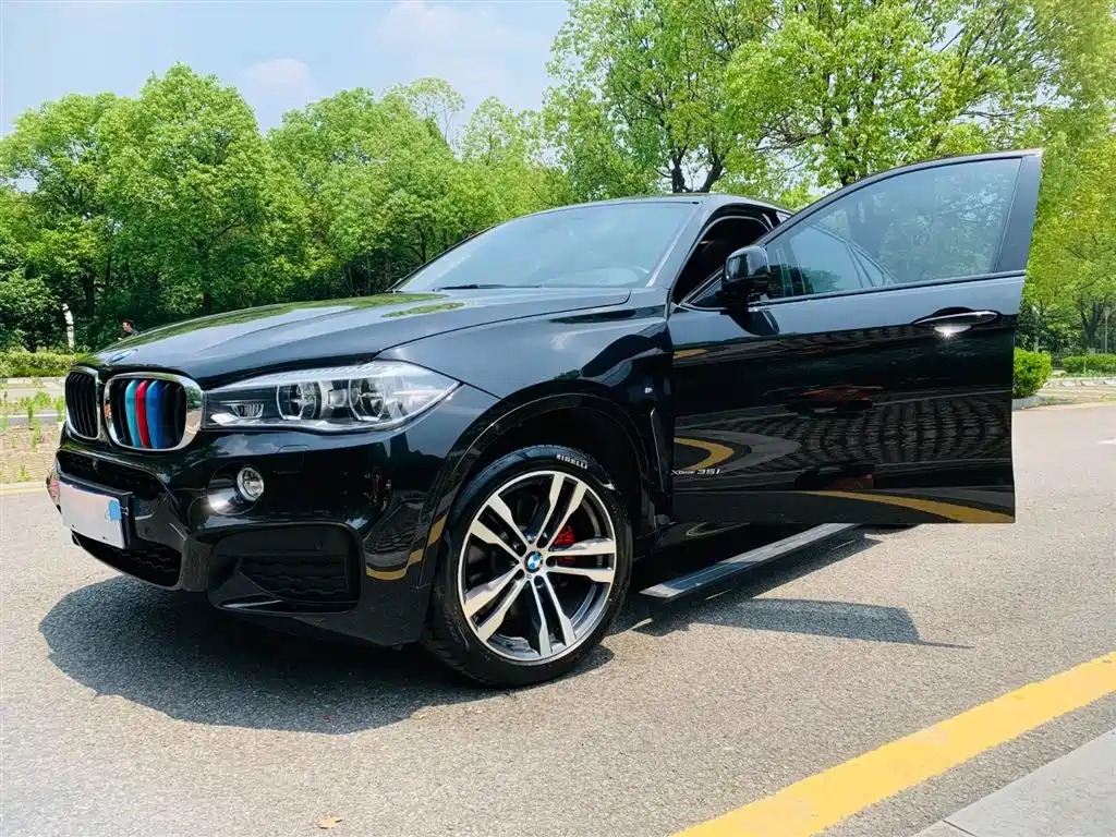 BMW X6 2018 xDrive35i M Sport Luxury Model фото 7