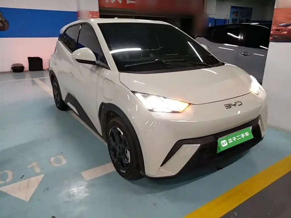 BYD Seagull 2024 Glory Edition 305km Vitality Edition фото 4