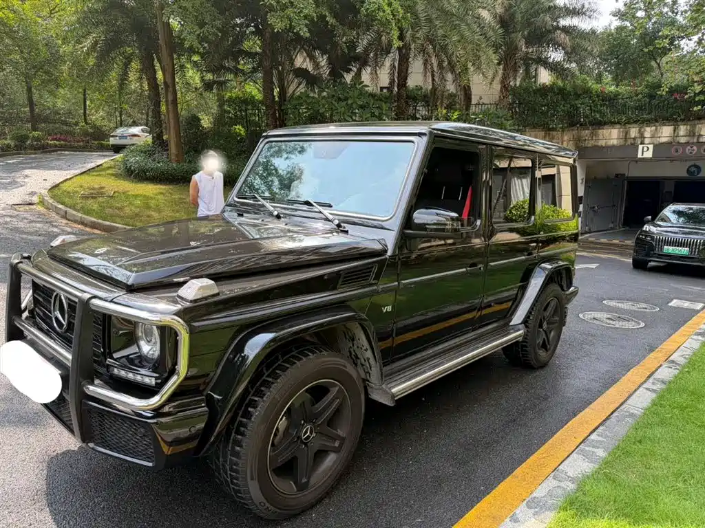 Mercedes-Benz G-Class 2017 G 500 фото 7