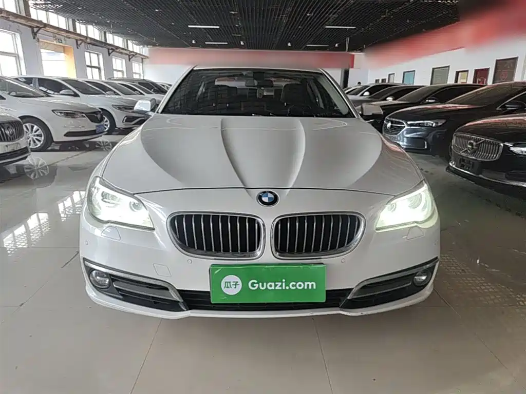 BMW 5 Series 2014 520Li Elegance фото 3