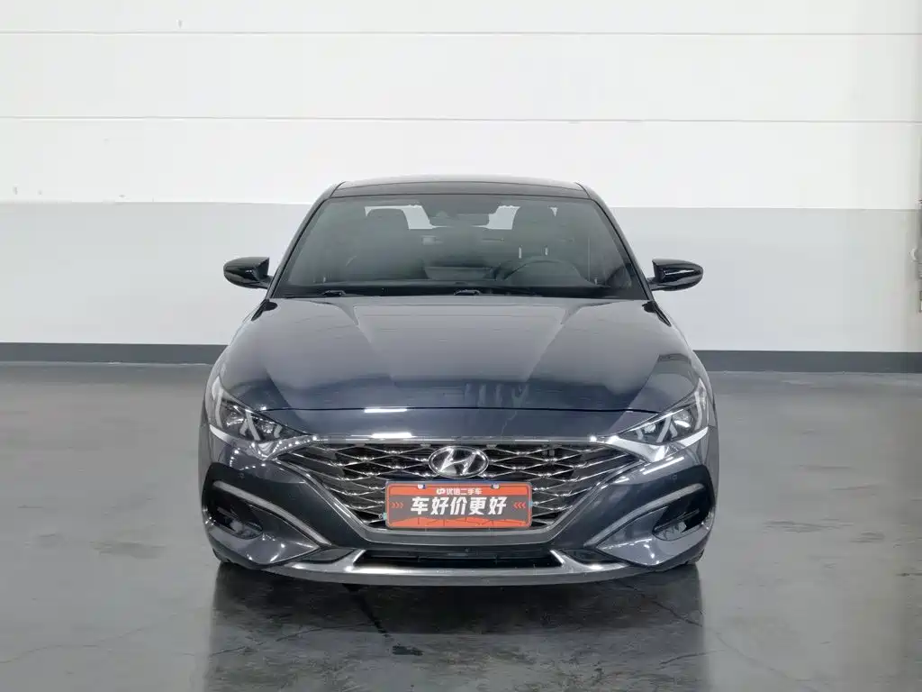 Фото 3 - Hyundai Fista