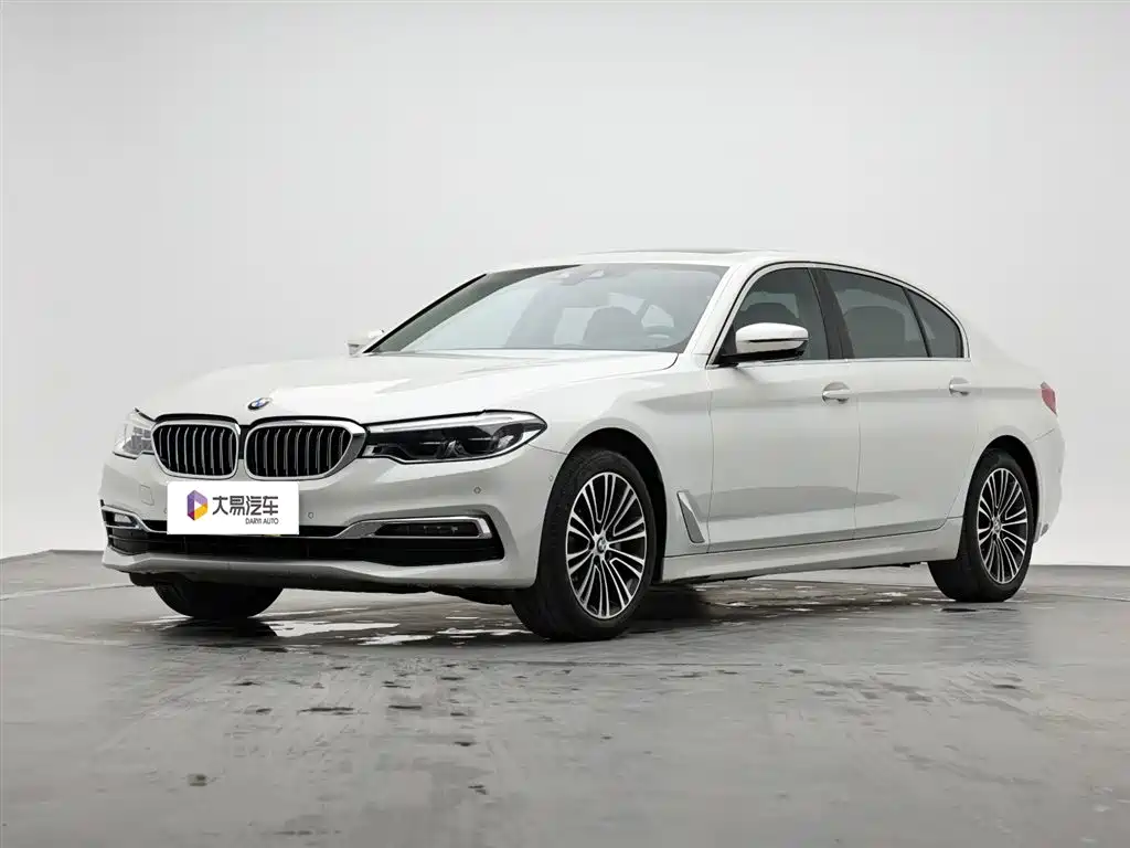 BMW 5 Series 2019 530Li Premium Luxury Package