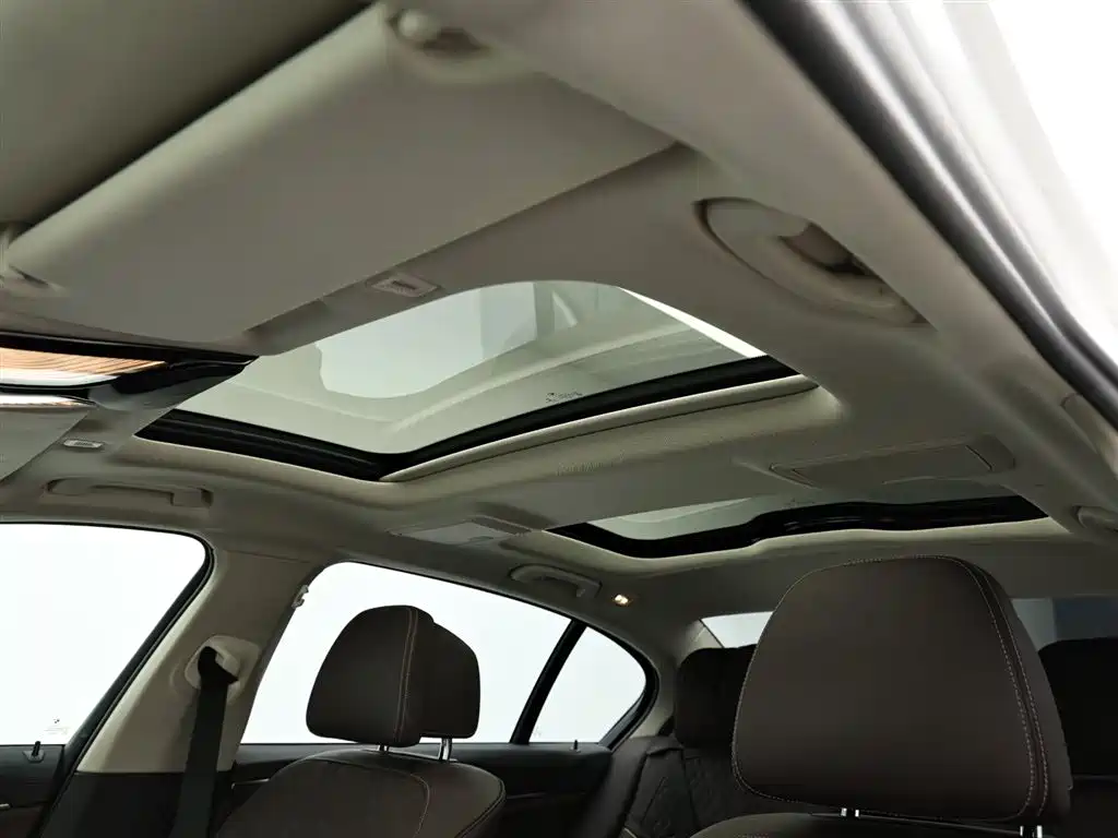 BMW 5 Series 2019 530Li Premium Luxury Package фото 13
