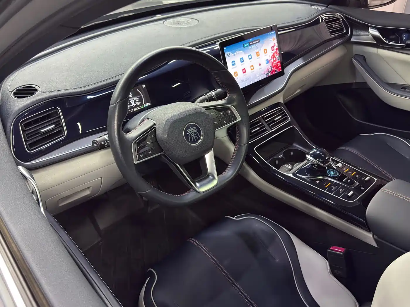 BYD Qin PLUS 2021 DM-i 55KM Flagship фото 12