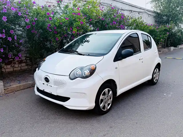  BYD BYD e1 2019 Advance Version