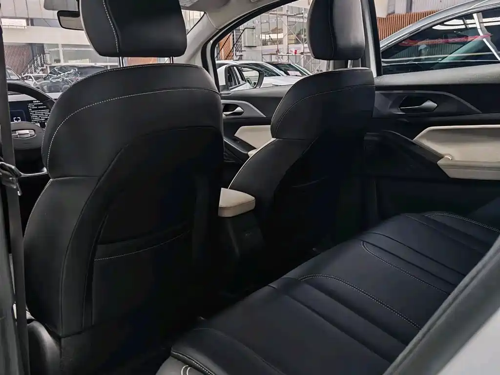 Geely Geometry E Firefly 2024 2024 401km Starlight