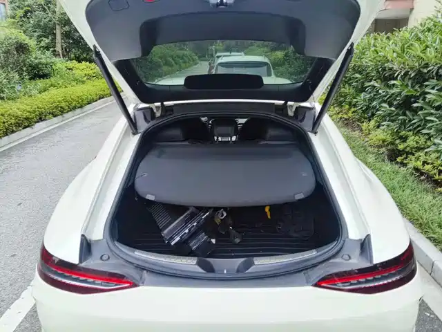 Mercedes-Benz AMG GT 2019 AMG GT 50 4-Door Coupe — фото 5