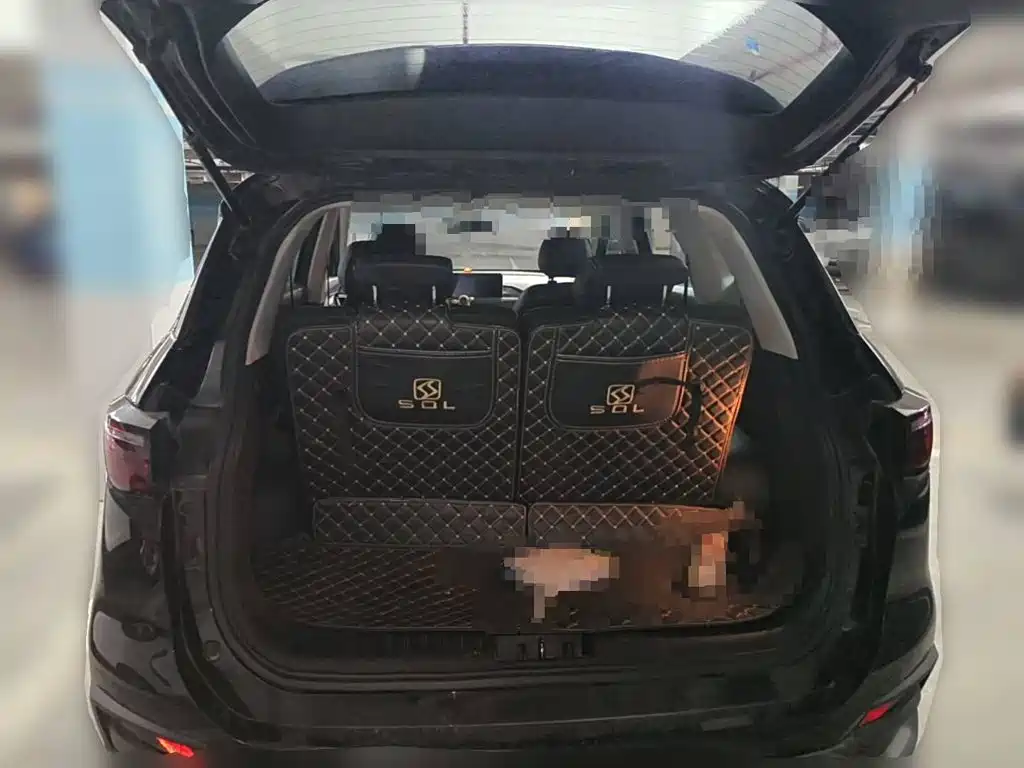 Sehol X8 2020 2021 300T DCT Panorama Luxury Edition 6-seater