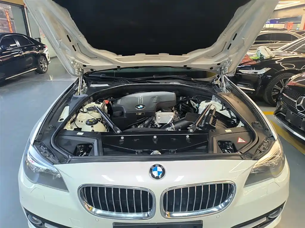 BMW 5 Series (Import) 2015 520i Elegance фото 20