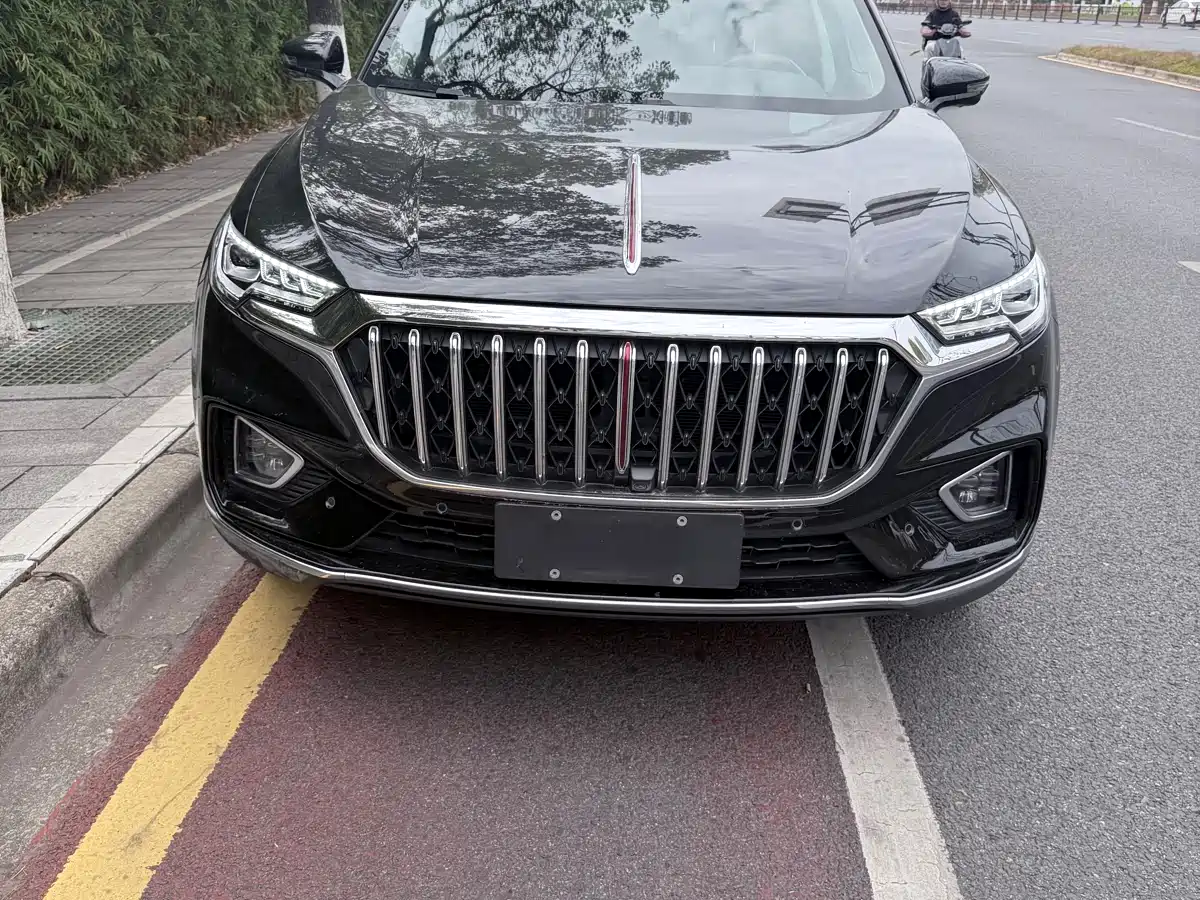 Hongqi HS5 2022 2.0T Smart Connect Joy Edition фото 2