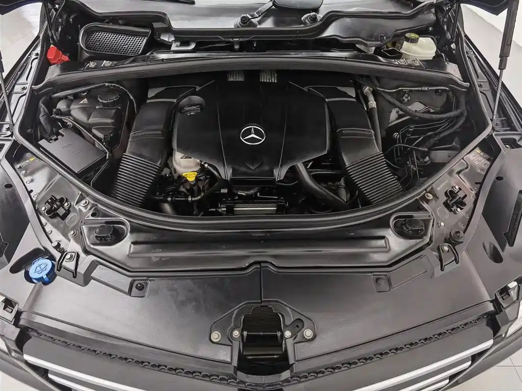 Mercedes-Benz R-Class 2017 R 320 4MATIC Business Collector's Edition фото 6