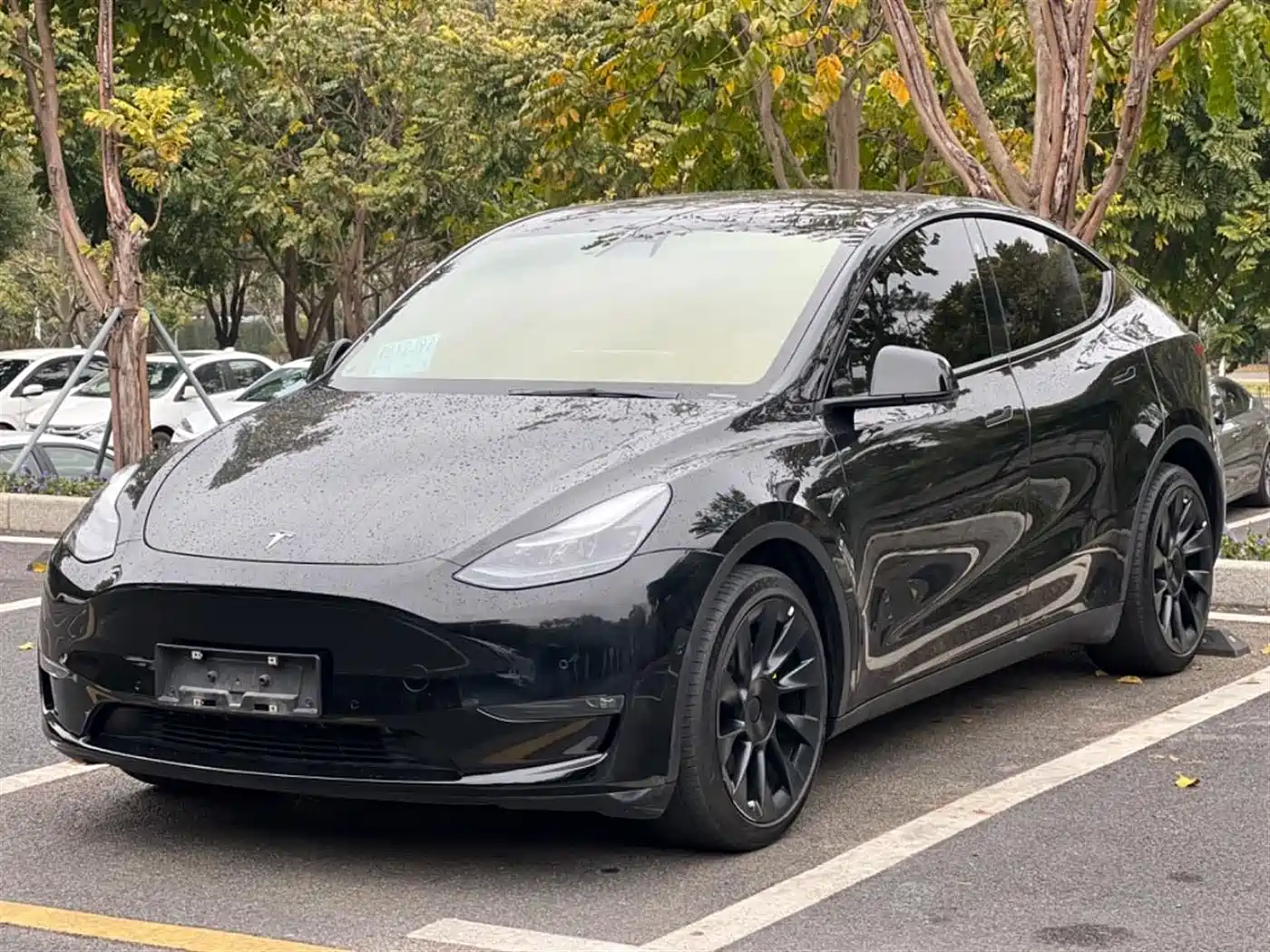 TESLA MODEL Y