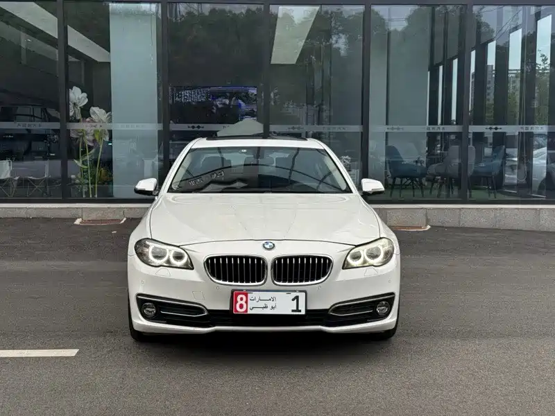 BMW 5 Series 2014 525Li Luxury Design Package фото 2