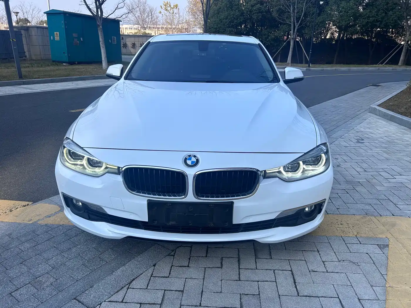 BMW 3 Series 2017 320Li Fashion фото 6