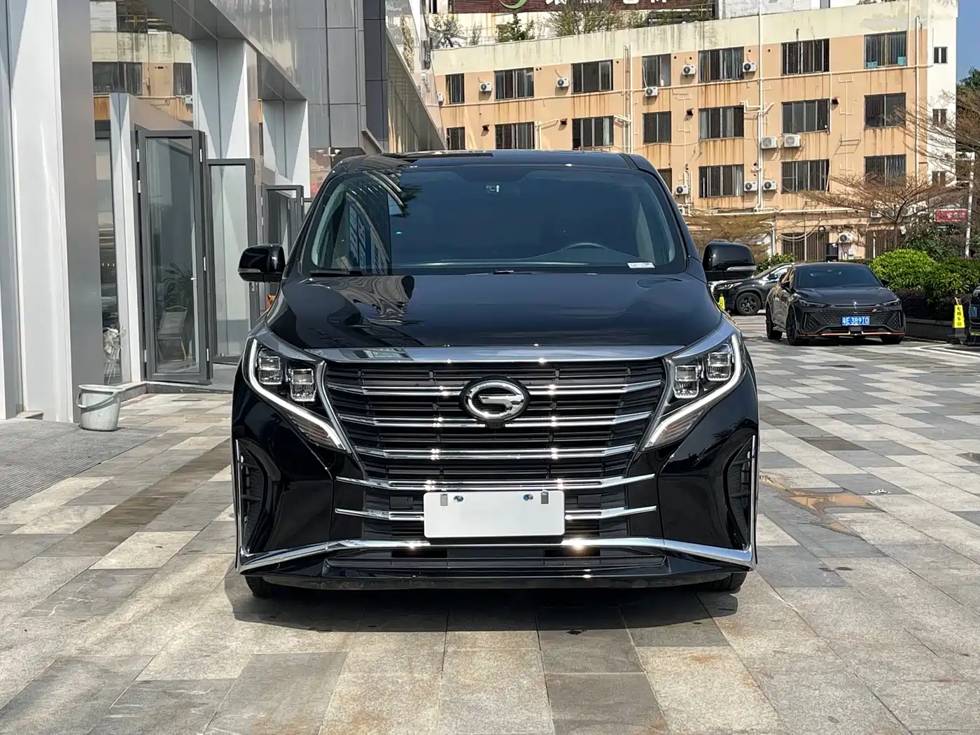 GAC Trumpchi Trumpchi M8 2023 Leading Series 390T Premium Edition фото 24