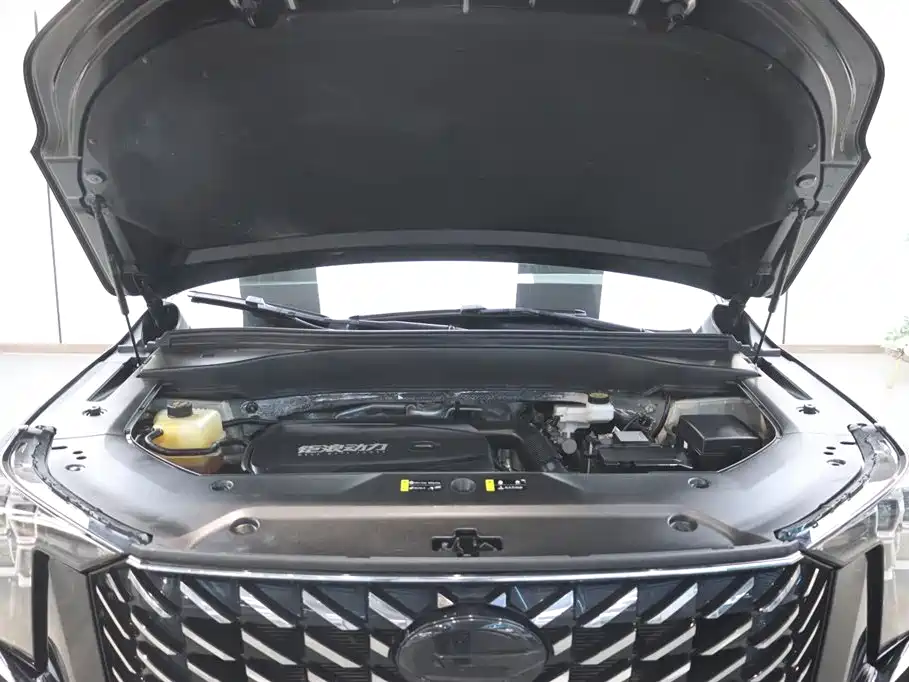 GAC Trumpchi Trumpchi GS8 2022 Pilot Series 2.0TGDI 2WD Luxury Smart Connect Edition (7-Seater) фото 32