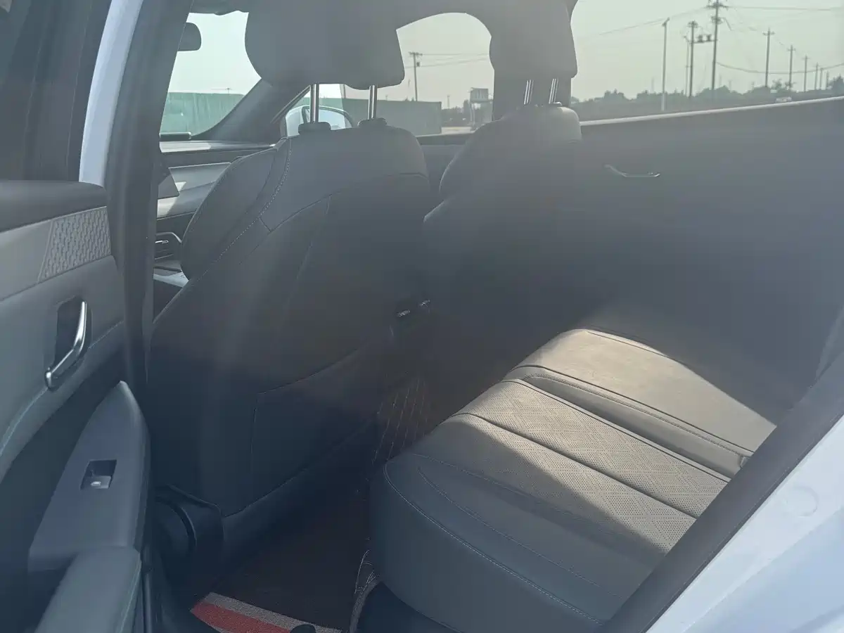 BYD Qin PLUS 2025 DM-i Smart Drive 55KM Leader фото 5