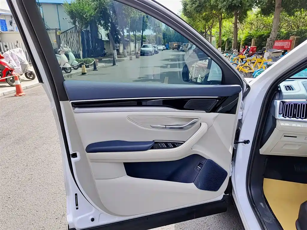 BYD Song PLUS PHEV 2021 DM-i 110KM Flagship фото 6