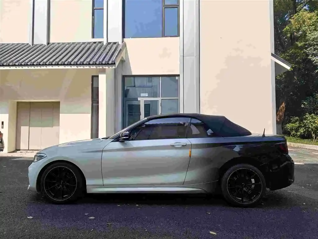 BMW 2 Series (Import) 2015 218i Convertible Coupe фото 18