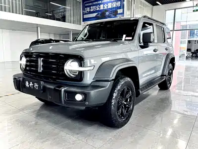 Tank 300