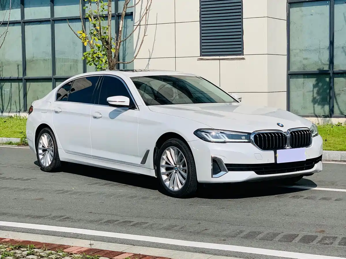 BMW 5 Series, миниатюра 3