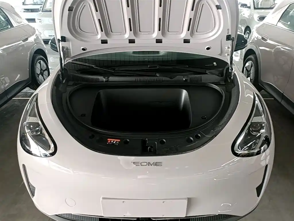 Geely Galaxy Starry Wish 2026 Edition Top Configuration фото 20