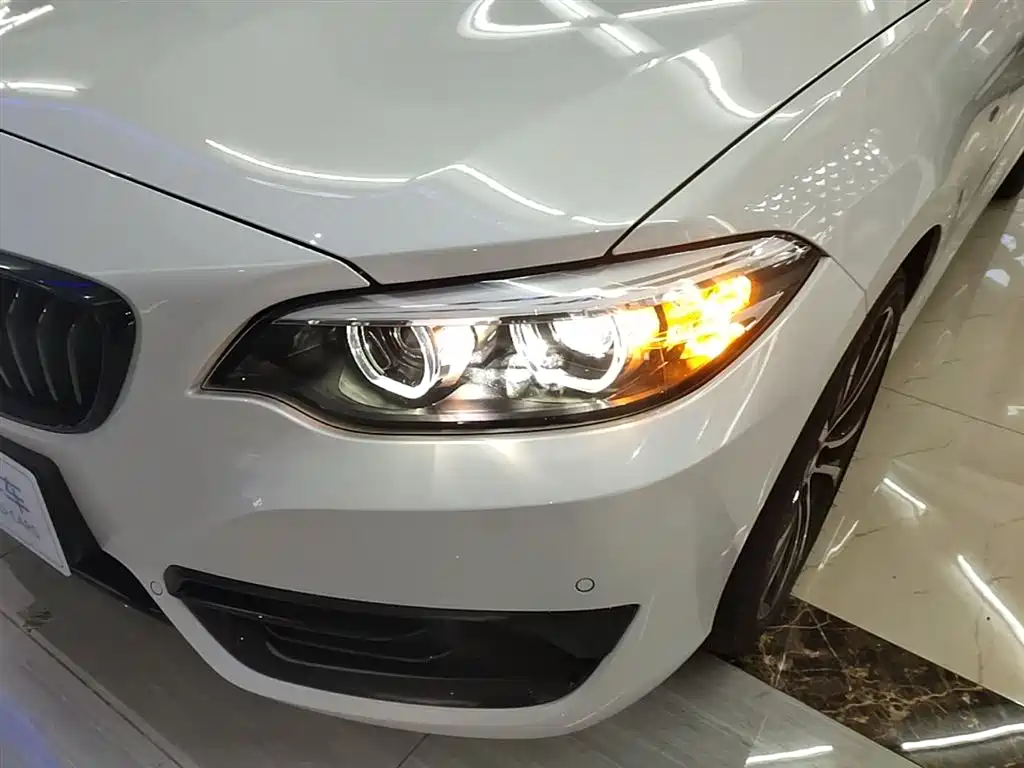 BMW 2 Series (Import) 2019 225i Sport Design Package фото 24