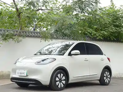 Wuling Bingo