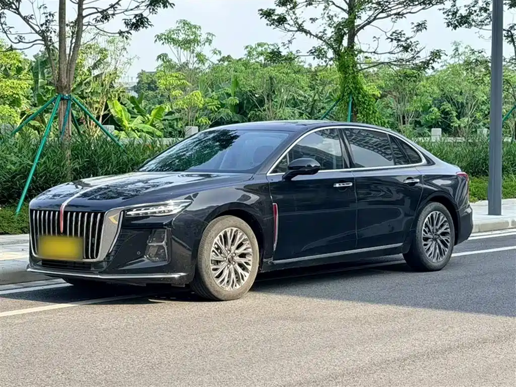 Hongqi H5 2023 2.0T Auto Smart Connect Flag Comfort фото 2